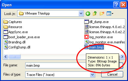 New main files. Как найти файл main. Thinstall. Dump exe.